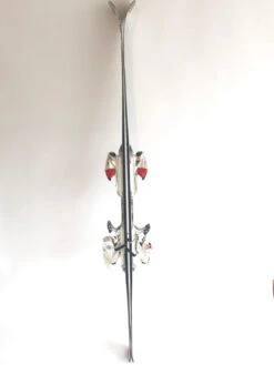 Ski Rossignol Famous 8 -SneeuwSpel Winkel Ski Rossignol Famous8 Side